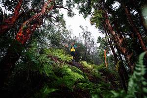 BIB: 
                            <button type="button" onclick="openModal(26205558)" class="btn btn-primary btn-sm float-right btn-popup" data-toggle="modal" data-target=".modal-high-quality">
                        <i class="fas fa-shopping-cart"></i> Add to Cart
                    </button>
                                            <button type="button" onclick="isThisMe(26205558, true)" class="btn btn-success btn-sm float-right btn-popup btn-isme hidden" data-toggle="tooltip" data-placement="bottom" title="นี่คือรูปของคุณใช่ไหม คลิกที่นี่เพื่อเอาเข้าอัลบั้ม">
                        <i class="fas fa-plus"></i> Add to album
                    </button>
                    <button type="button" onclick="isThisMe(26205558, false)" class="btn btn-warning btn-sm float-right btn-popup btn-isnotme hidden">
                        <i class="fas fa-ban"></i> Remove from album
                    </button>